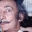 Dalí. Todas las sugestiones poéticas y todas las posibilidades plásticas