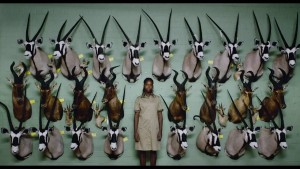 Mucho trabajo para el taxidermista.