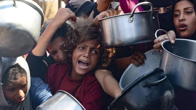 Act x Palestine, Palestina, Gaza, concierto solidario, Palau Sant Jordi, derechos humanos, cultura política, ayuda humanitaria, PPAN, música comprometida, Israel, Cisjordania